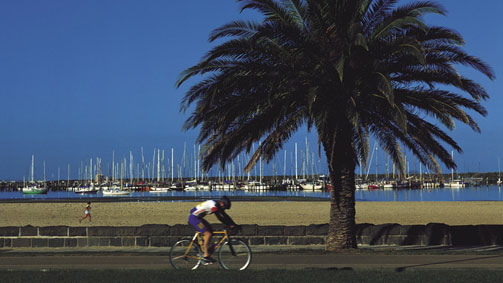 Bay Trail