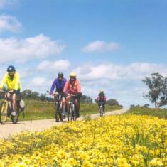 Beechworth cycling